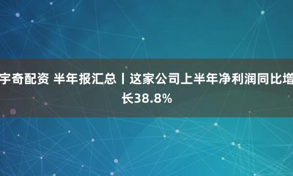宇奇配资 半年报汇总丨这家公司上半年净利润同比增长38.8%